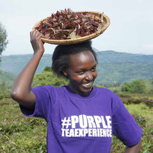 Justea loose leaf sampler - purple tea