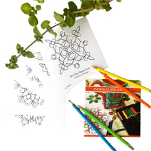 Mandala Urbano para Colorear (set de 5) - Ecotienda La Chiwi