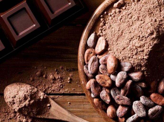 El Cacao, los beneficios a tu salud y par de recetas