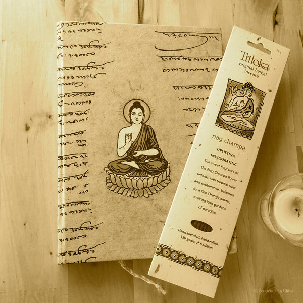 Kit de super-vivencia espiritual