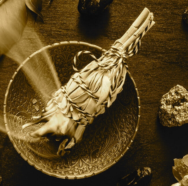 La maravillosa salvia