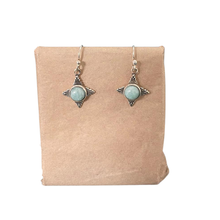 Jeevan earrings - variedad