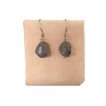 Jeevan earrings - variedad