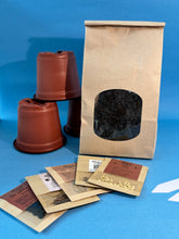 Kit de siembra (set de 12) - Ecotienda La Chiwi