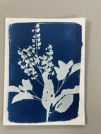 Tarjeta en Cianotipo (6” x 4.5") - Ecotienda La Chiwi