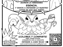eBook · NUESTRA ESENCIA tiene alas, aletas y raíces - tirilla educativa ¡GRATIS!