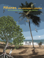 Piñones, sus animales y plantas - Ecotienda La Chiwi