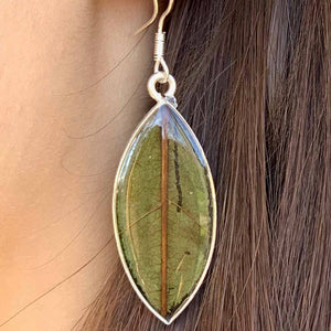 Silver plated Ellipse Earrings - Leaf in Resin