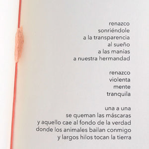 Enredadera y colmillo (handmade book)